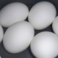 hard-boiled-eggs
