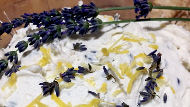Lavender lemon goat cheese spread with lavender from The Fresh Herb Company